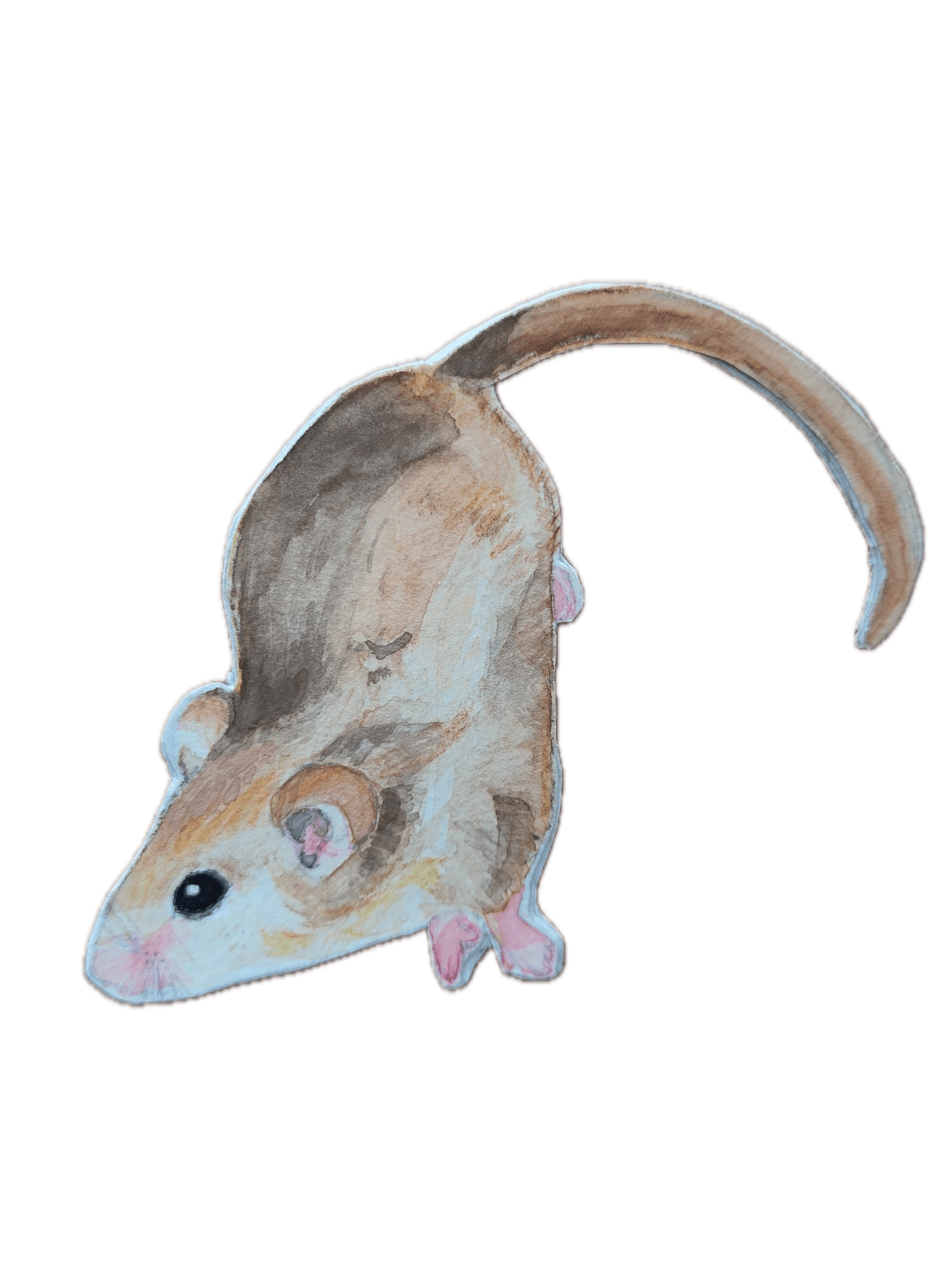 Animal 1