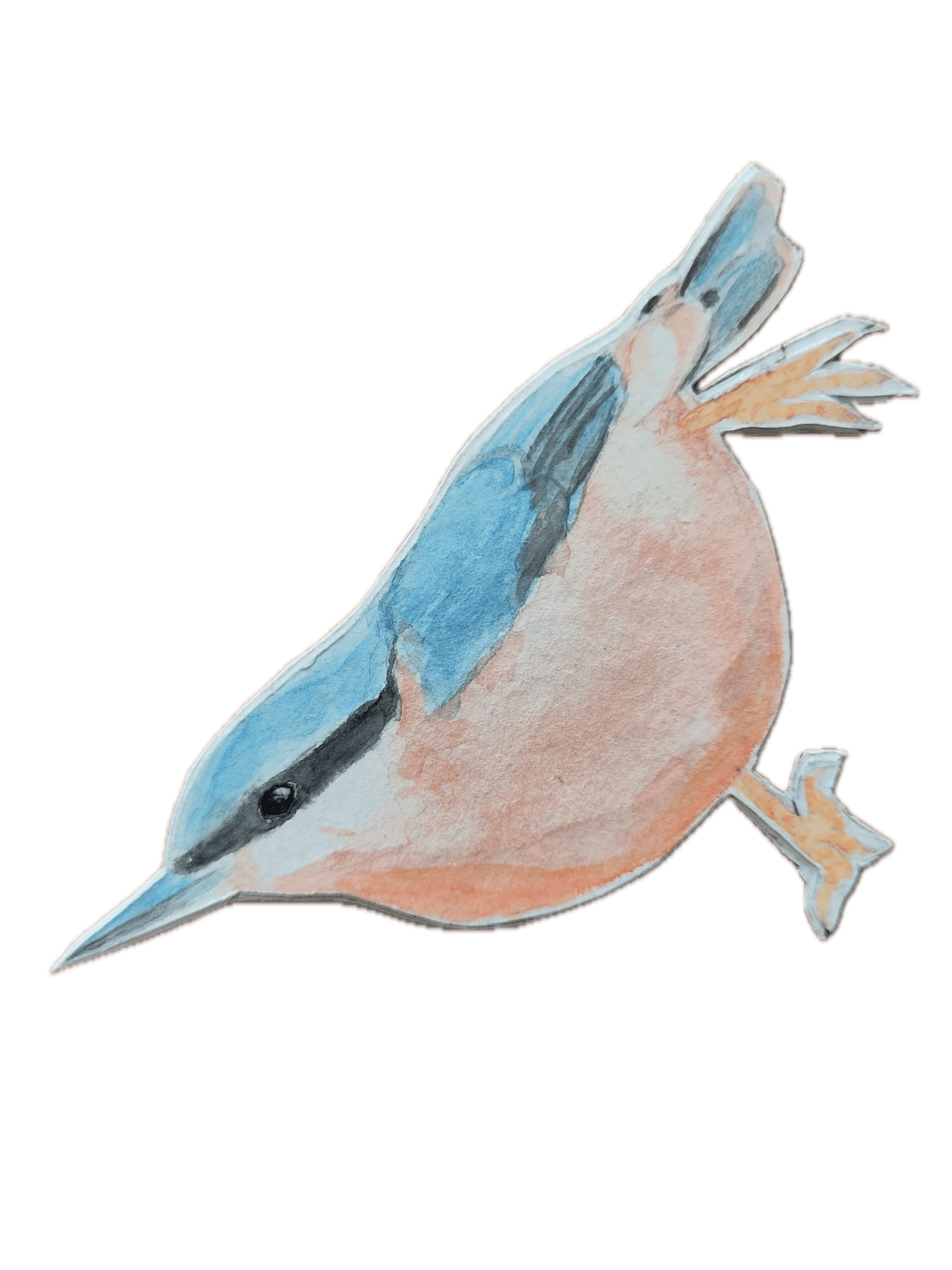 Animal 10