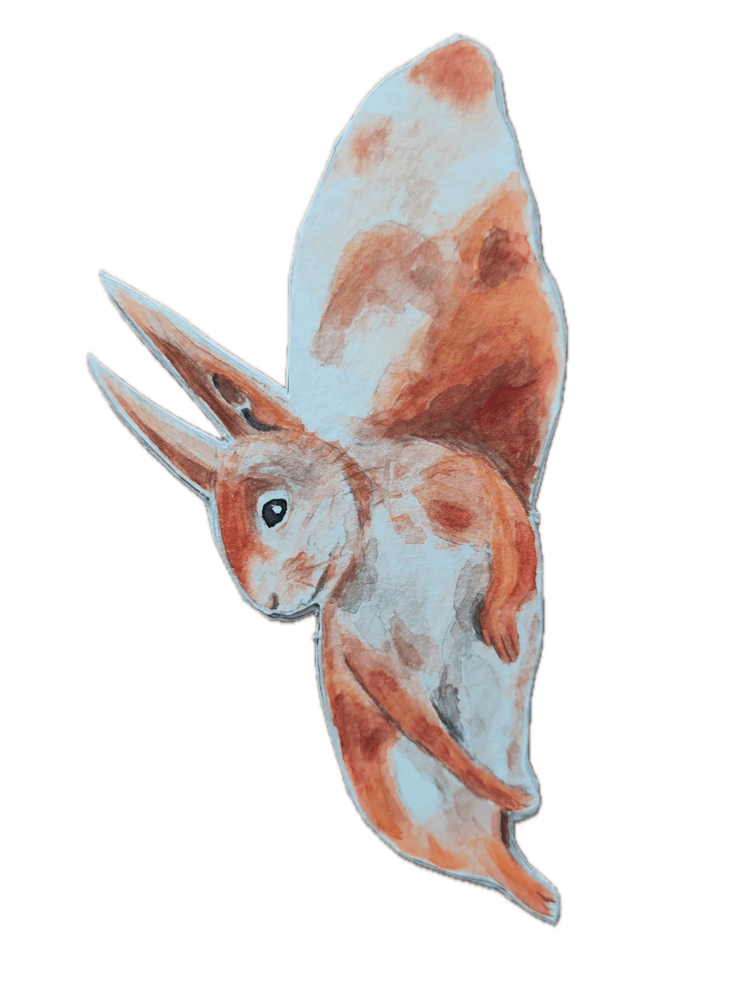 Animal 12