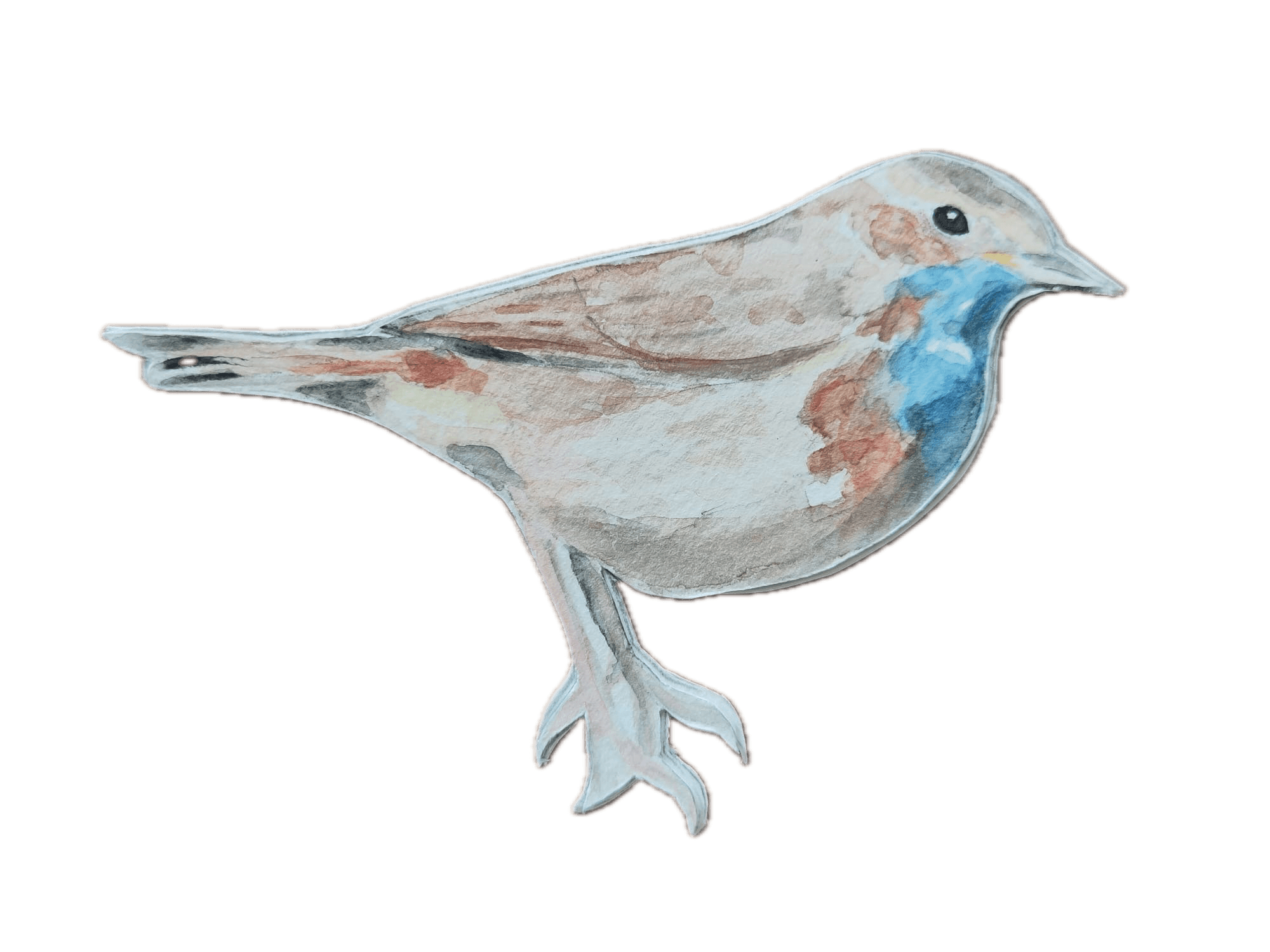 Animal 14