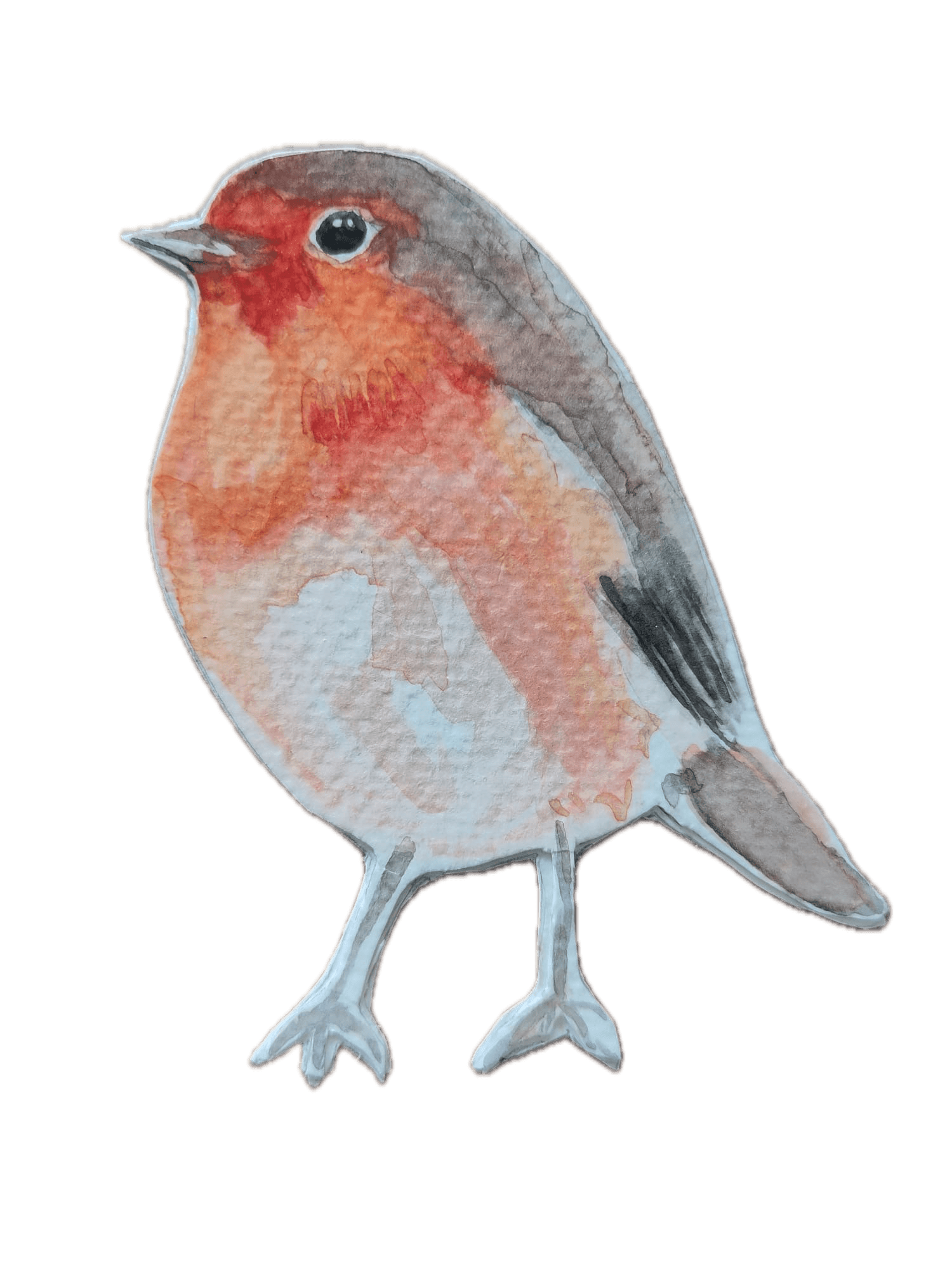 Animal 2