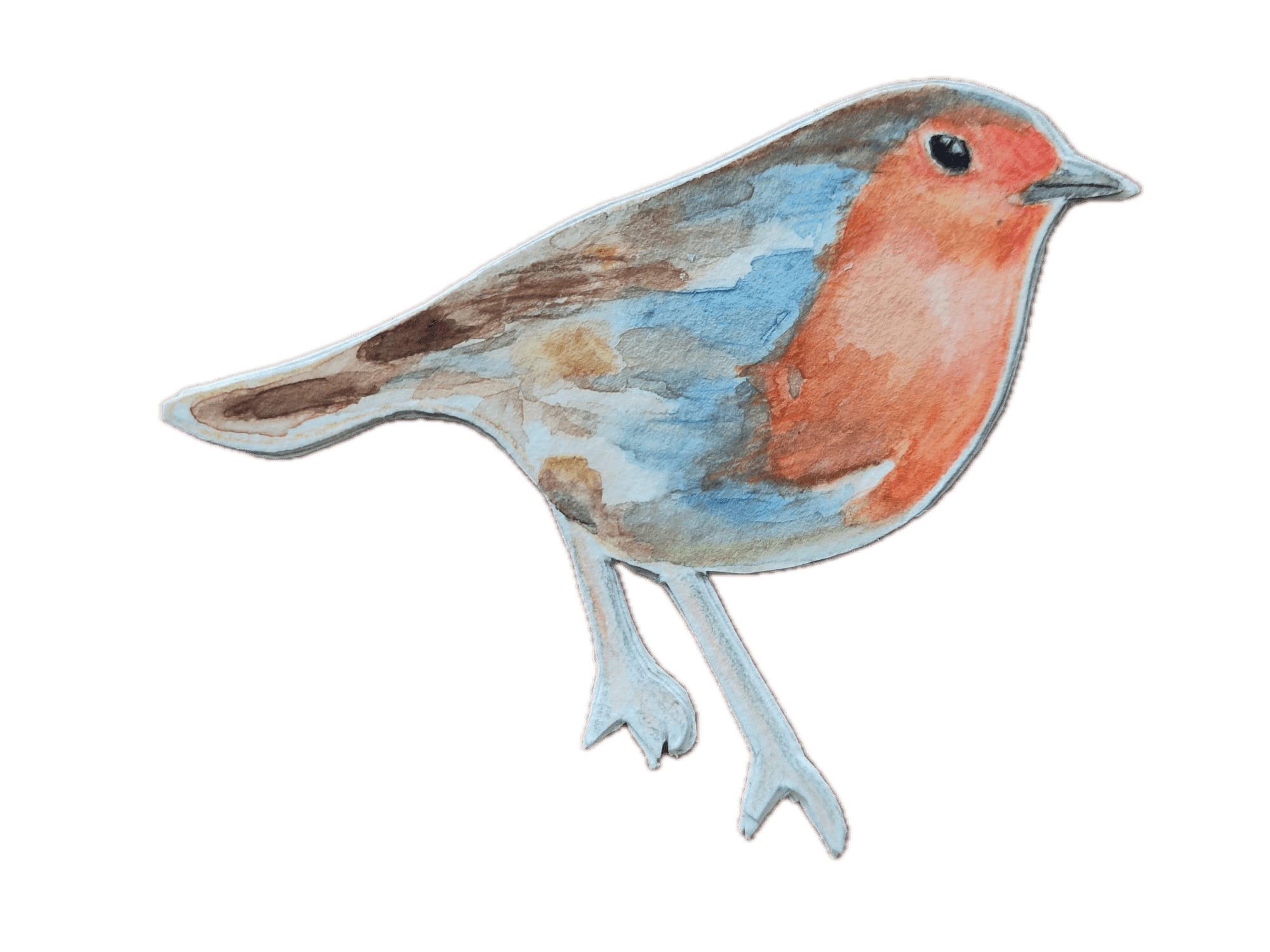 Animal 3