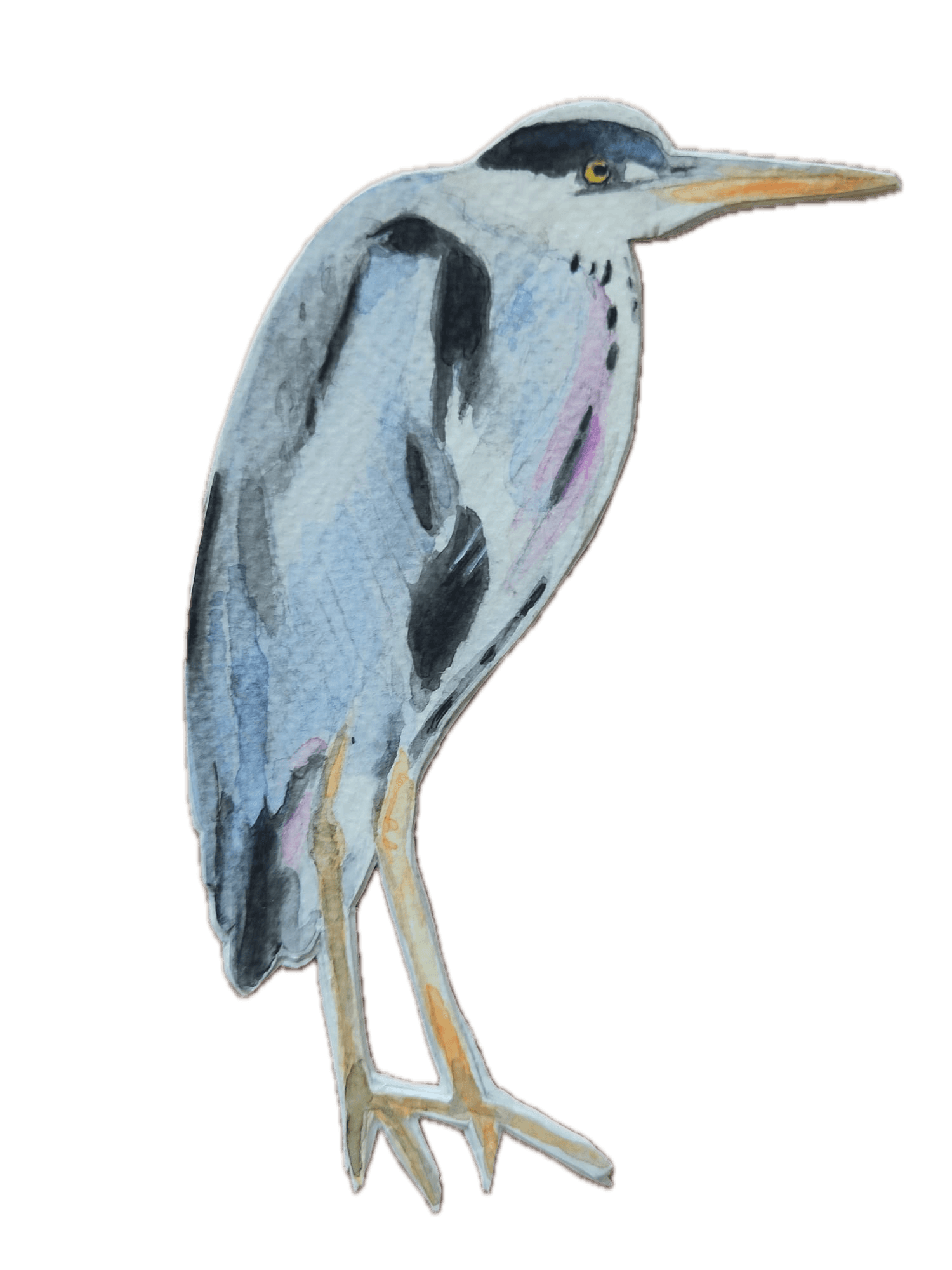 Animal 4