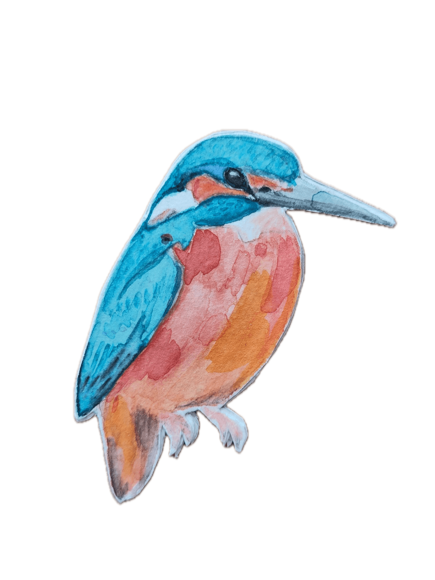 Animal 8