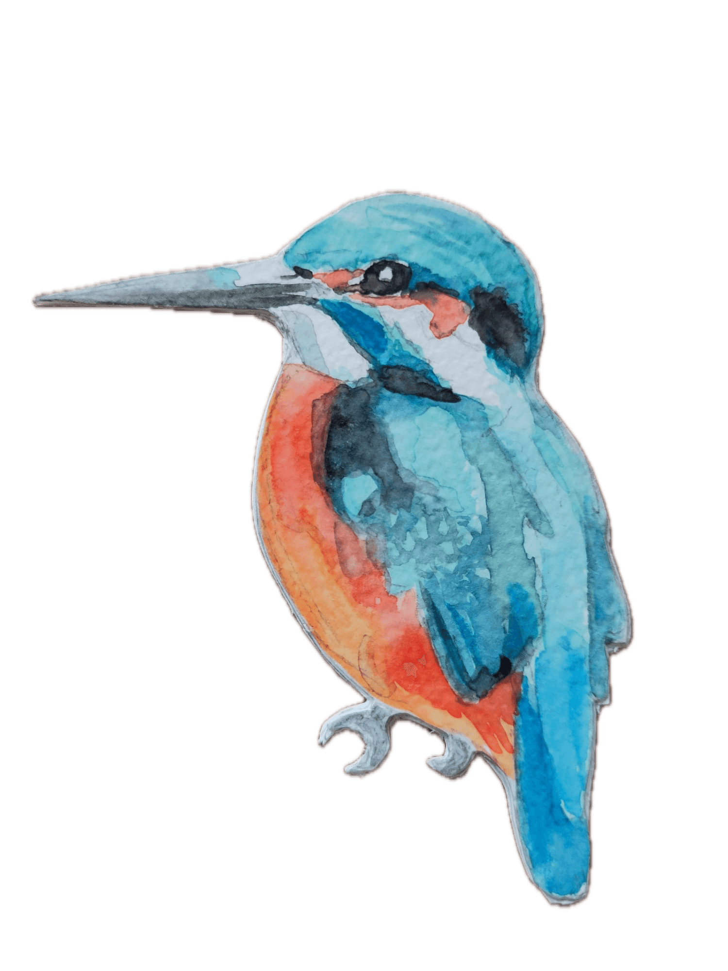 Animal 9