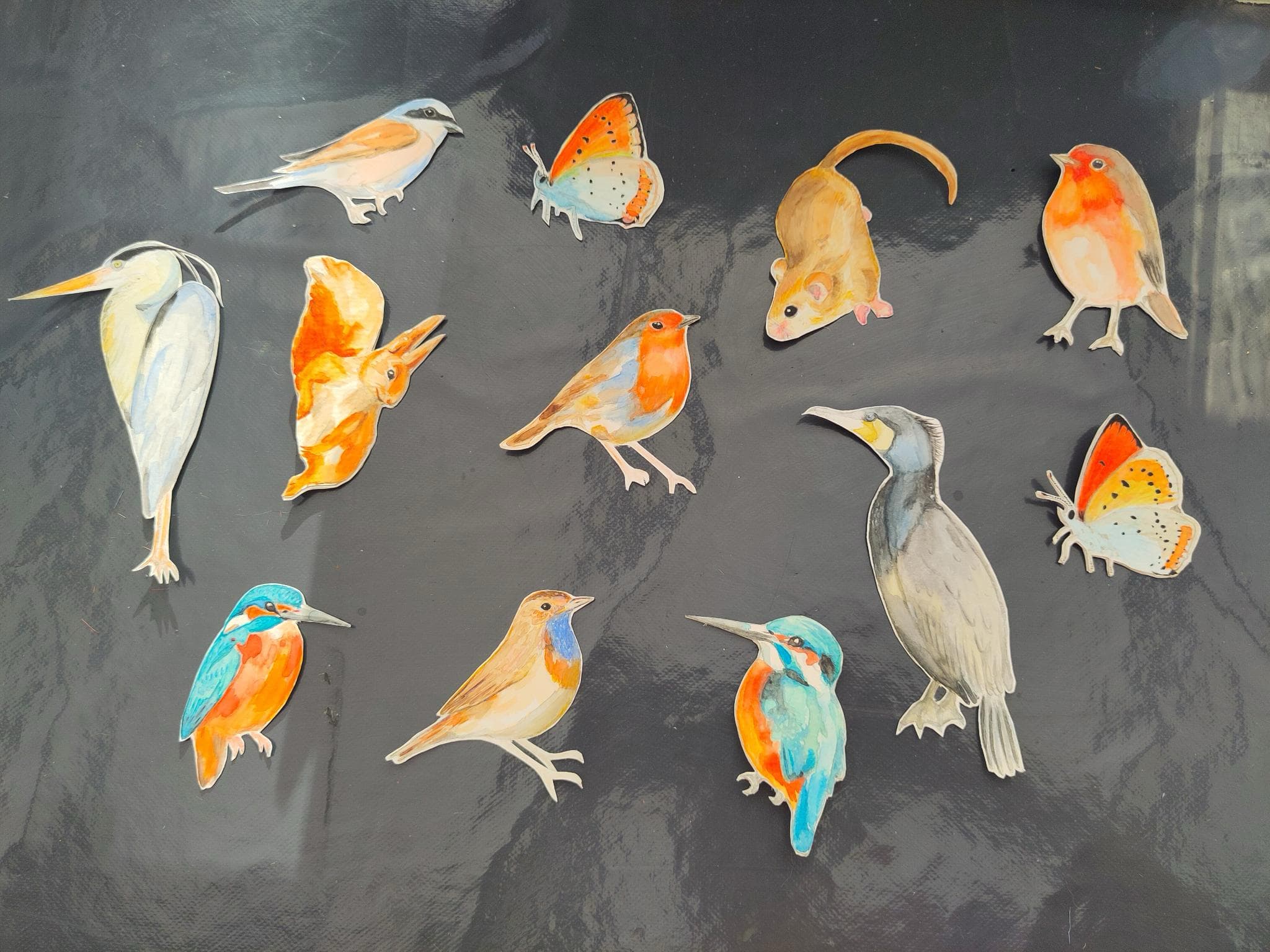 Animaux